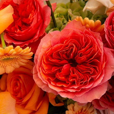 Букет с пионовидной розой и антуриумом